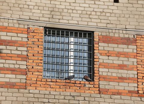 Жительница Партизанска осуждена на 13 лет за убийство и покушение на убийство