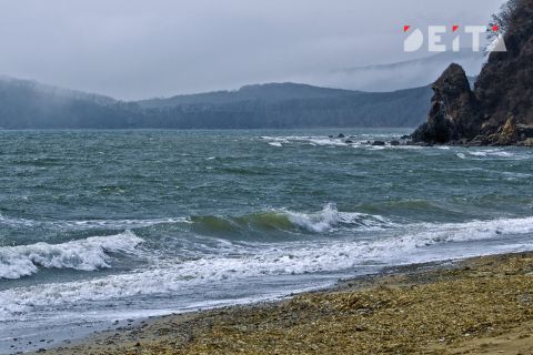 Подарочки - не отдарочки: японцы удивили выходкой на Дальнем Востоке