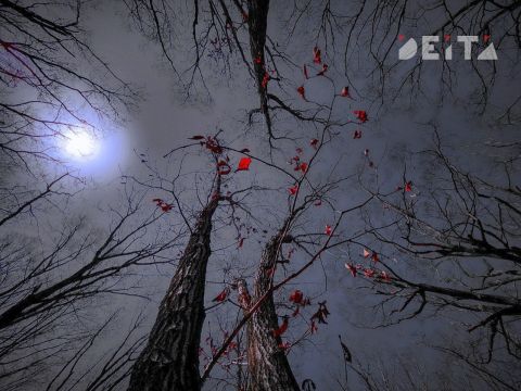 Резкое похолодание ожидается в Приморье после выходных