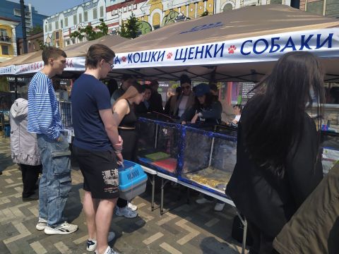 Десятки животных обрели дом благодаря специальной выставке во Владивостоке