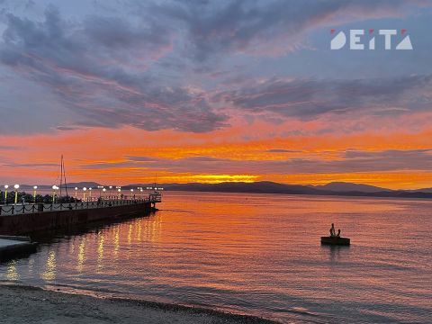 Японское море теплеет, крабы и креветки исчезают