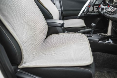 Как правильно перевозить животных летом – советы ветеринара