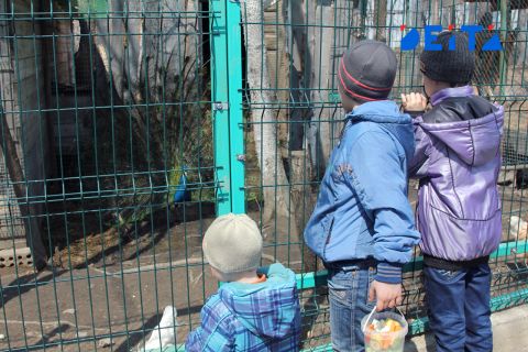 Многодетным семьям могут продлить период льгот и выплат