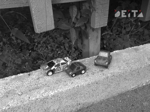 Проверку по факту непристойных действий школьника в отношении шестилетнего мальчика проводит полиция Владивостока