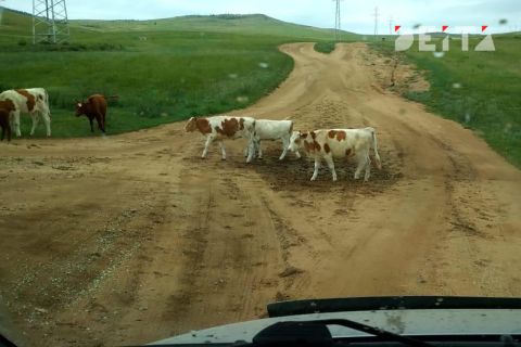 Очередного земельного афериста будут судить в Приморье