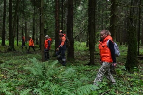 Бесплатный цифровой сервис поможет искать пропавших людей