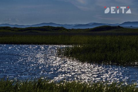Уголовное дело возбуждено в Приморье по факту утопления ребёнка в реке