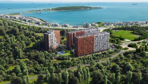 Все активы дальневосточного застройщика переходят федеральному девелоперу