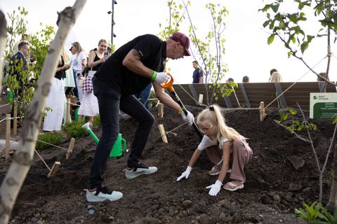 Аллею памяти высадили на набережной во Владивостоке