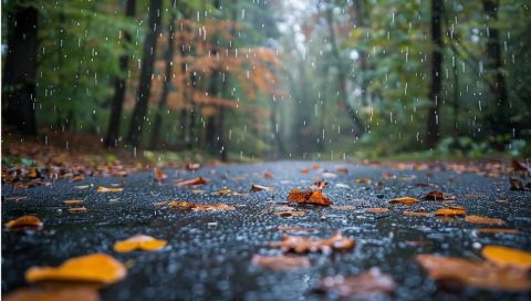 Циклоны испортят бабье лето: синоптики сказали, к чему готовиться