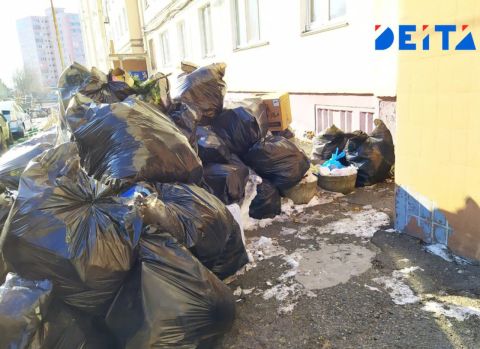 Владивосток снова встретил Новый год мусорным коллапсом (ОБНОВЛЕНО В 15:47)