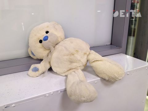 Жительницу Приморья оштрафовали за побег трёхлетней дочери из дома