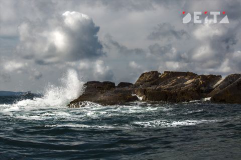 В Японском море спасли 17 моряков