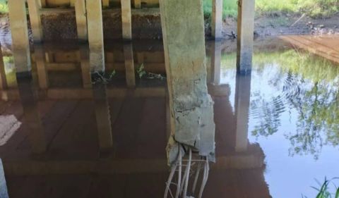 Прокуратура проверяет разрушение моста через реку Малиновка в Приморье