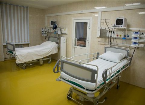 Грибник чуть не умер от укуса змеи под Владивостоком