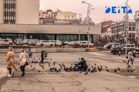 Проценты вместо проектов: регионы зарабатывают на кремлевских кредитах