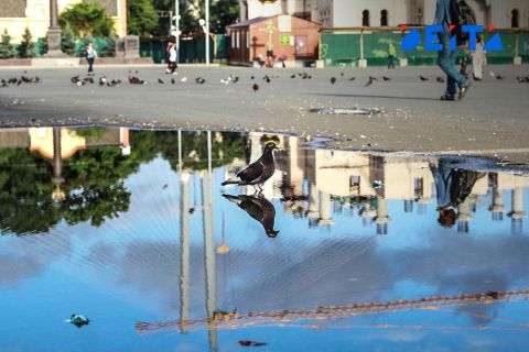 Погода в Приморье наладится в четверг