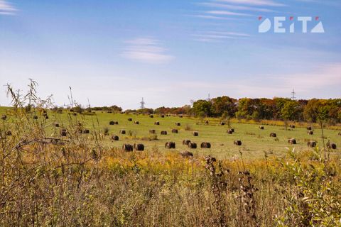 Город Спутник выглядит «лоскутным одеялом»