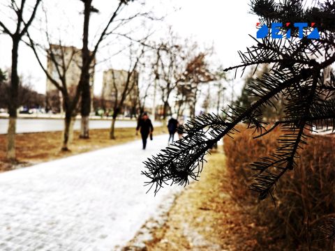 Очередная волна потепления начнётся в Приморье в воскресенье