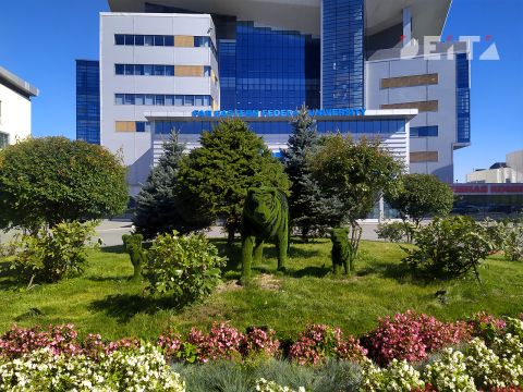 Для выпускников вузов ещё одной отрасли хотят ввести обязательное распределение