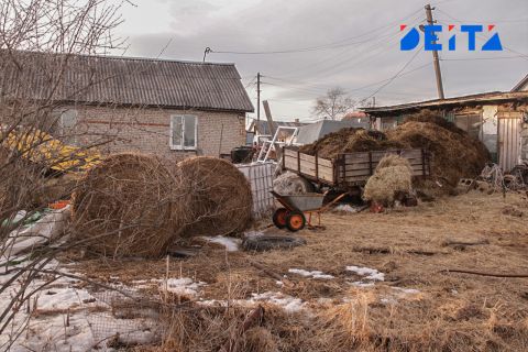 Штраф до 15 тысяч рублей грозит приморцу за неудачную уборку на приусадебном участке