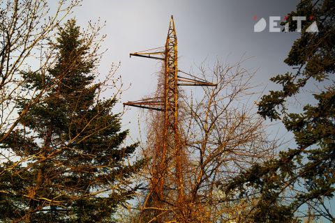 Уголовное дело о незаконной приватизации электросетей возбуждено в Приморье