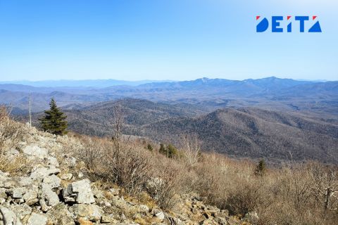 Синоптики рассказали про погоду в Приморье на 6 августа