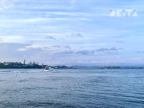 Хамство и беспредел: жители и гости островов Владивостока устали от сложностей с покупкой билетов на паром