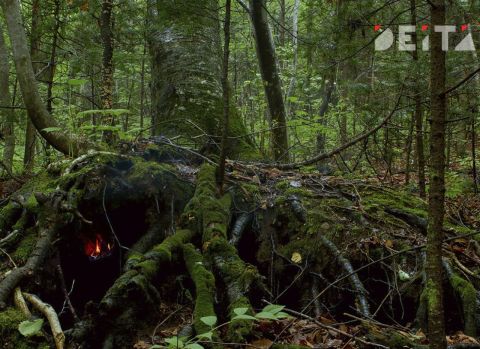 Клещи снова кусаются перед зимой