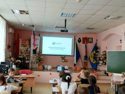 Энергетики филиала АО «ДРСК»  Хабаровские электрические сети провели уроки электробезопасности в школе № 1 с. Троицкое
