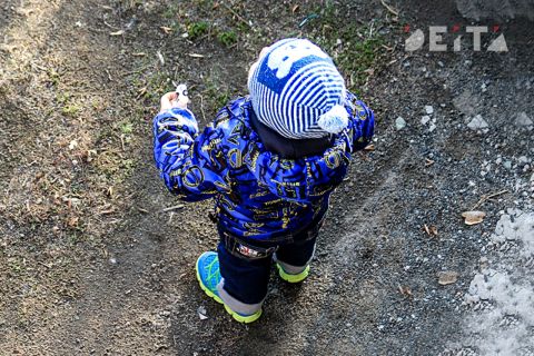Домашние ясли готовят в России