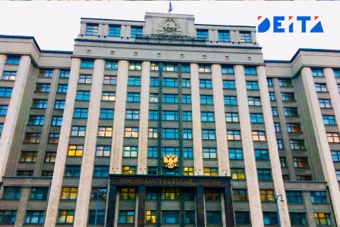 Базовый доход для семей с детьми предложили в Госдуме