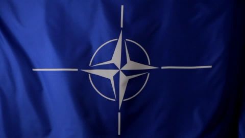 "Пока-пока!": почему США поссорились с НАТО
