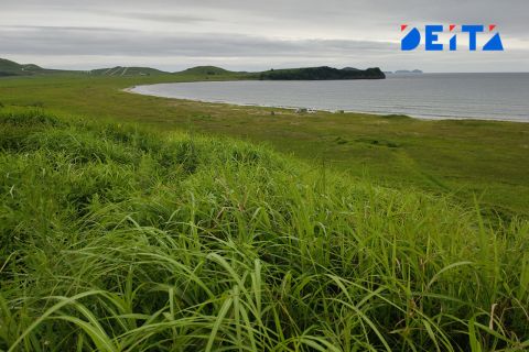 Названа погода в Приморье на 7 августа