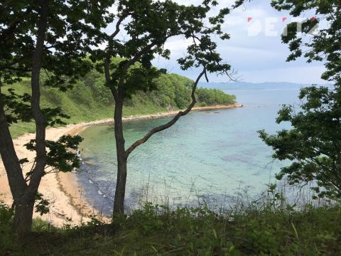 Водитель гидроцикла, наехавший на девочек в бухте Троица в Приморье, оказался туристом из Хабаровска