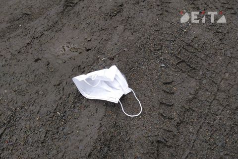 На пороге новой инфекции: эксперт разъяснил, опасна ли России чикунгунья