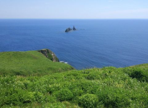 Приморье ждёт тёплая пятница без дождей