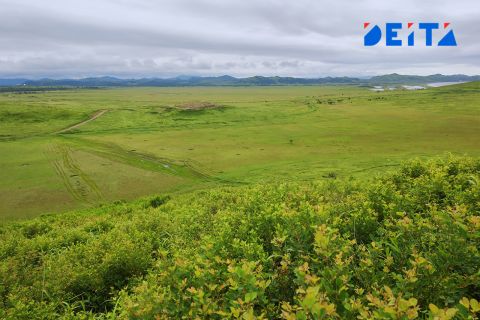 Погода в Приморье на неделю: дожди пройдут в среду