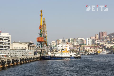 Крупный газовый проект сорвали в Приморье