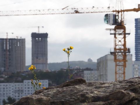 Приморье -  в лидерах: жилье снова подорожает в России