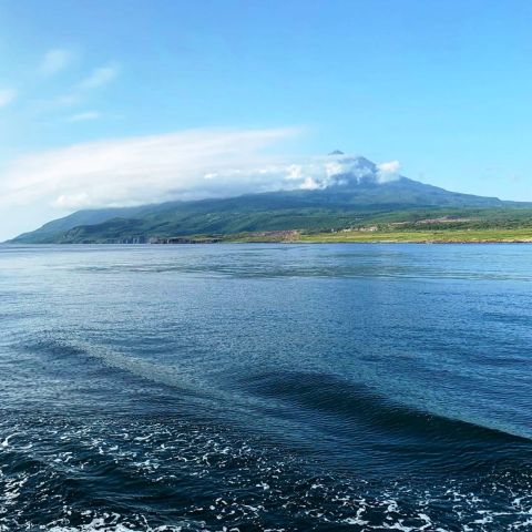 Закрепить по вертикали: Мишустин проверит исполнение путинских наказов на ВЭФ