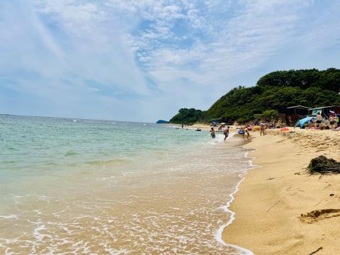 Директора турбазы в Приморье будут судить за травму подростка на отдыхе