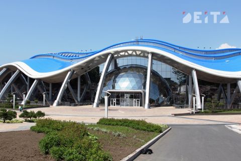 Как удивить Ким Чен Ына: раскрыты «тайны» Приморского океанариума