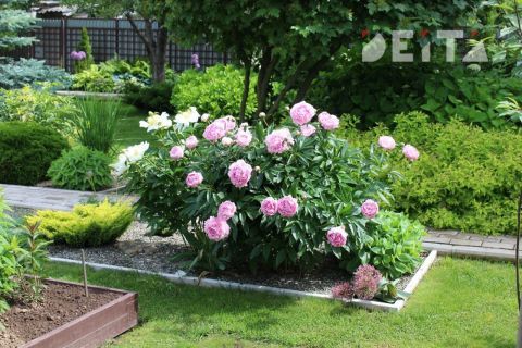 В Приморье в начале недели установится сухая погода