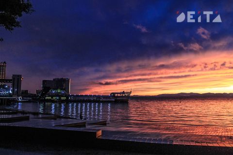 Мэрия и прокуратура ищут, кто загадил Амурский залив у обновлённой к приезду Путина набережной