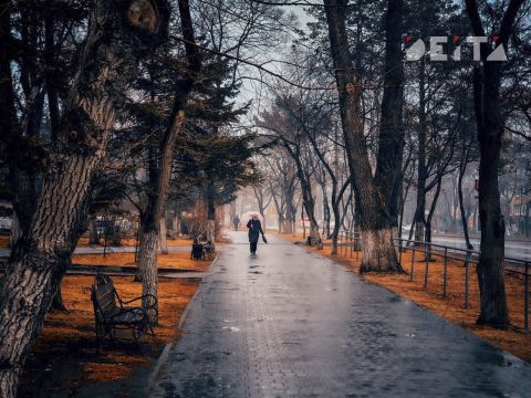 Похолодание продолжится в Приморье на следующей неделе