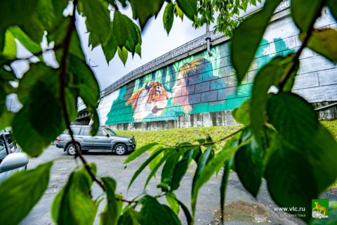 Сделать Владивосток ярче предлагают молодым художникам