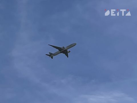 Застрявшим на Ближнем Востоке российским туристам компенсируют затраты