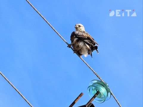 Пасхальное воскресенье принесет в Приморье потепление и сухую погоду