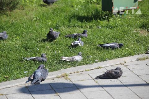 В ожидании дождей: погода в Приморье сменится в выходные